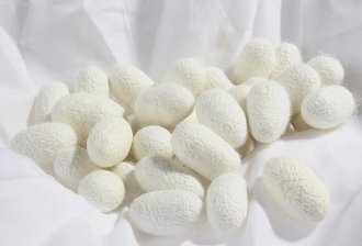 蠶絲被與蠶絲制品的清洗與保養(yǎng)指南